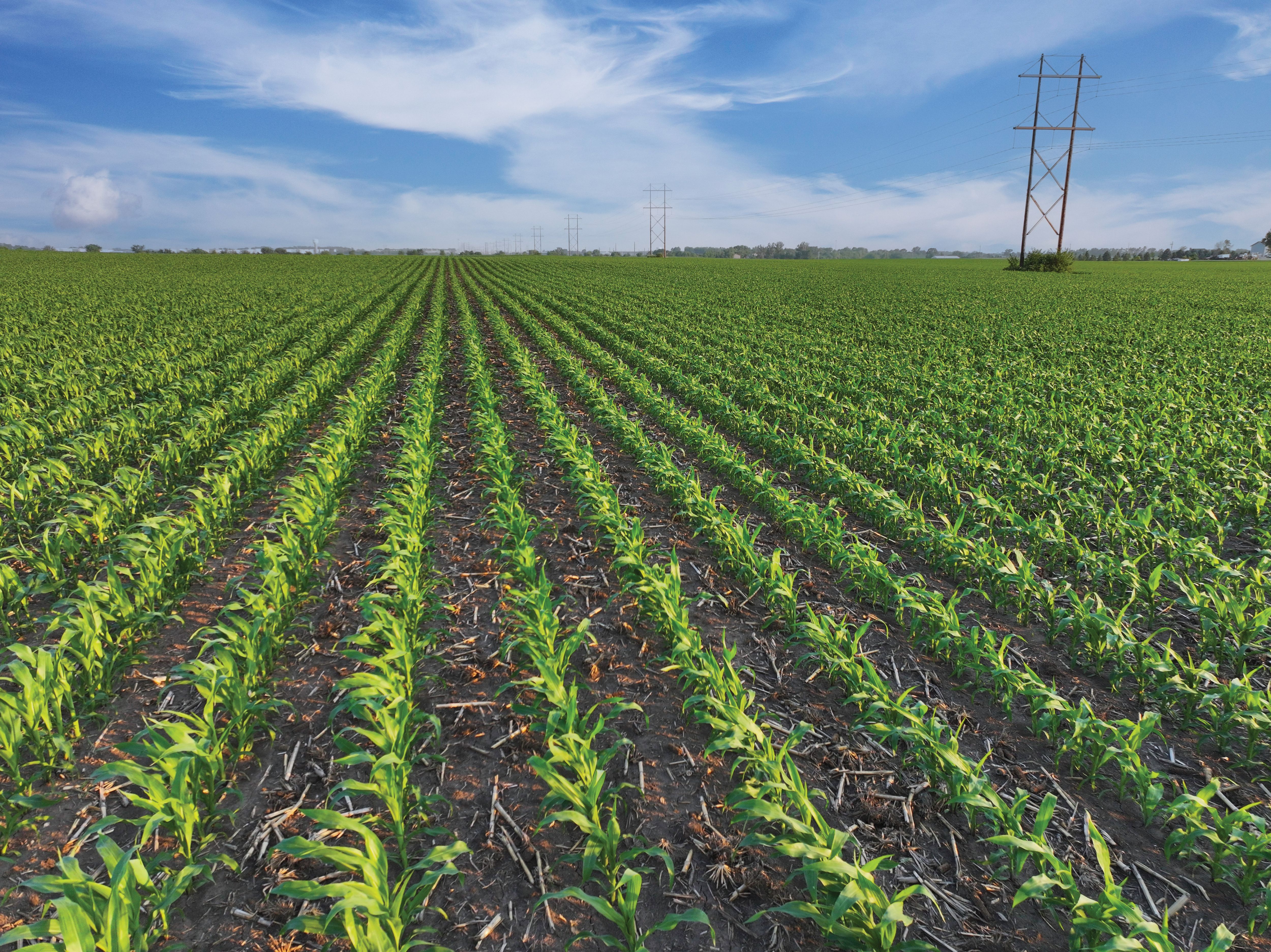 Listing Photo: Photo